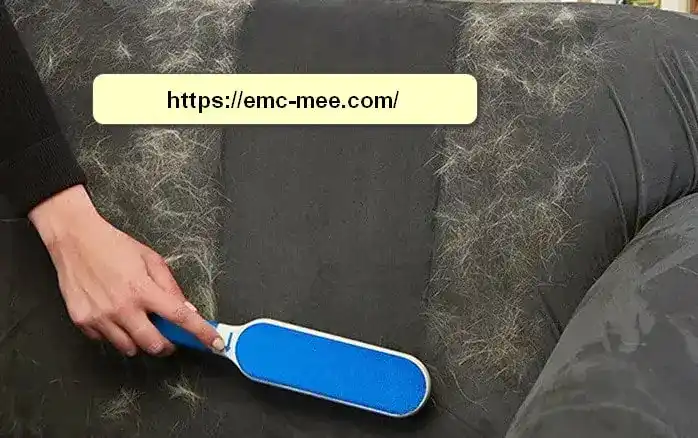 شركة تنظيف كنب بالاحساء